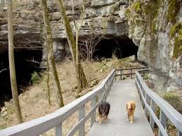 images_(3)