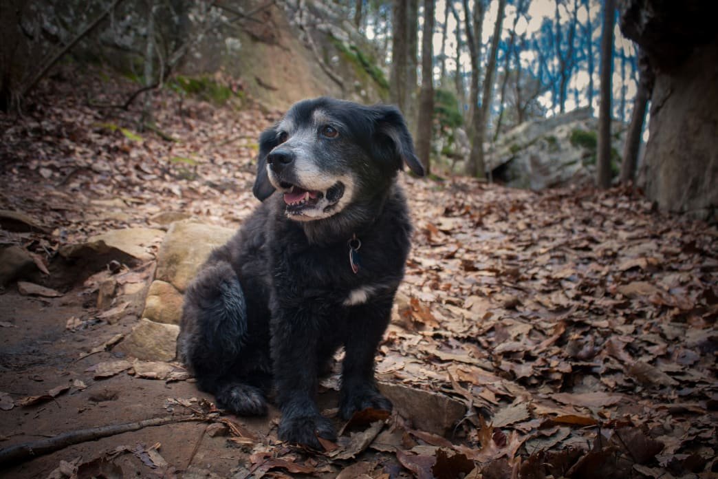 kfx638twmt9fzmgdxdmf