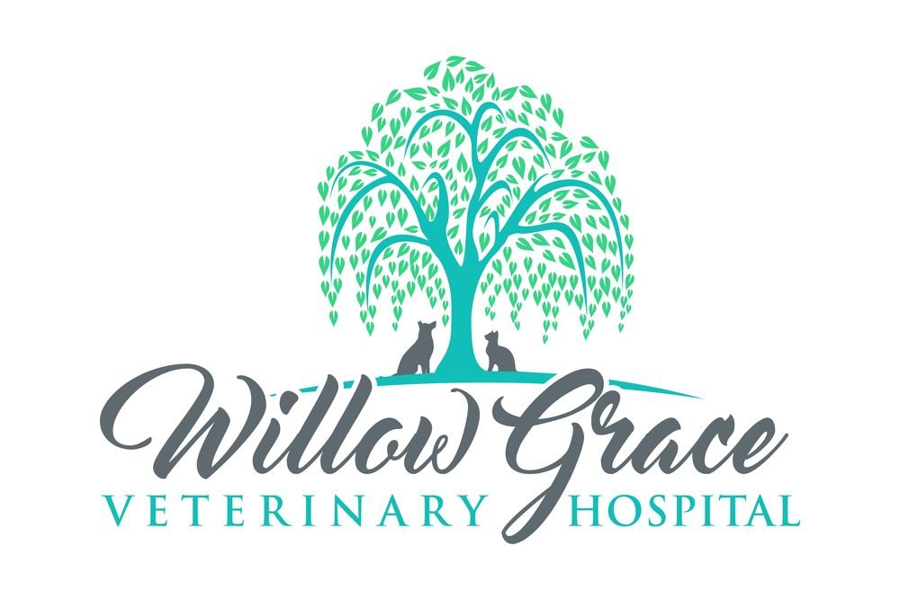 large-Willow-Grace