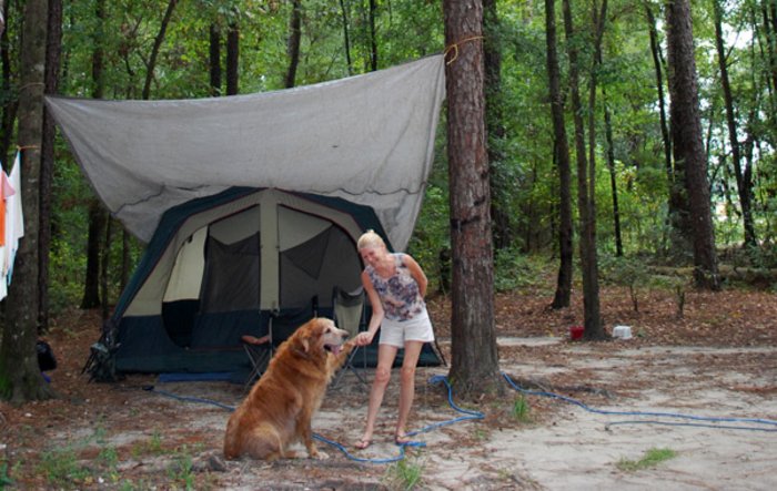 large2_MCU168_6_tent
