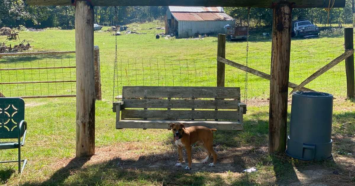 lil-farm-in-the-sip-lil-farm-in-the-sip