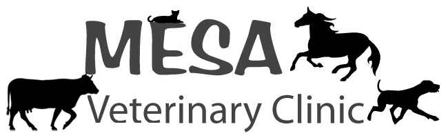 logo-for-web-with-cow