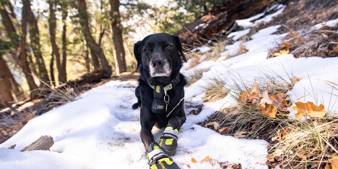 momyer_creek_trail-4