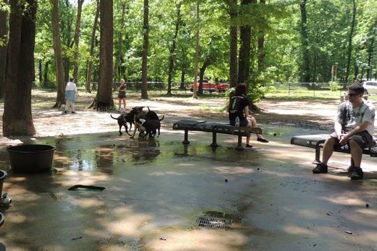 murray-dog-park
