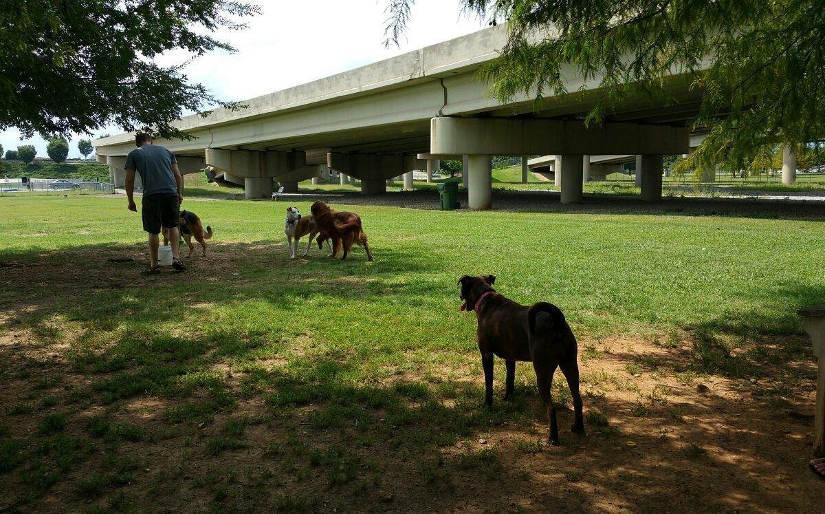 nice-park