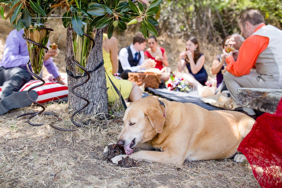 pm201508sanrafaelchinacampstateparkwedding1783