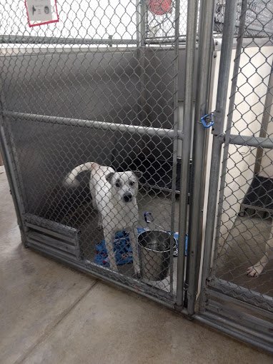 qs13
