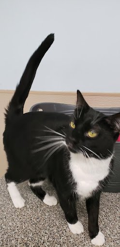 se1