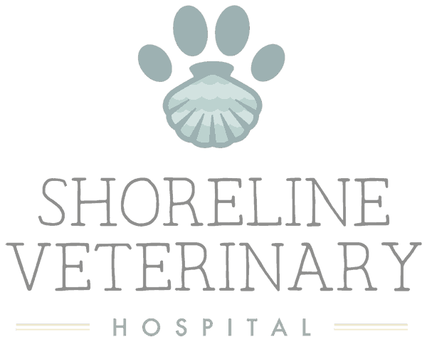 shorelinevet-logosssssss