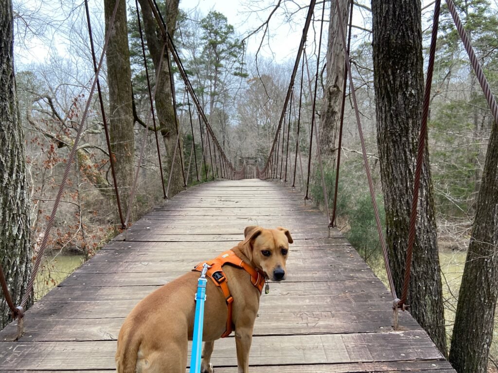 tishomingoswingingbridge-1024x768