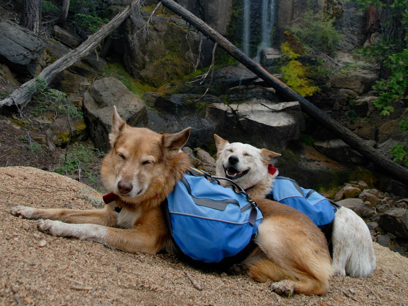 trail1-f6898438e30abe8706adh