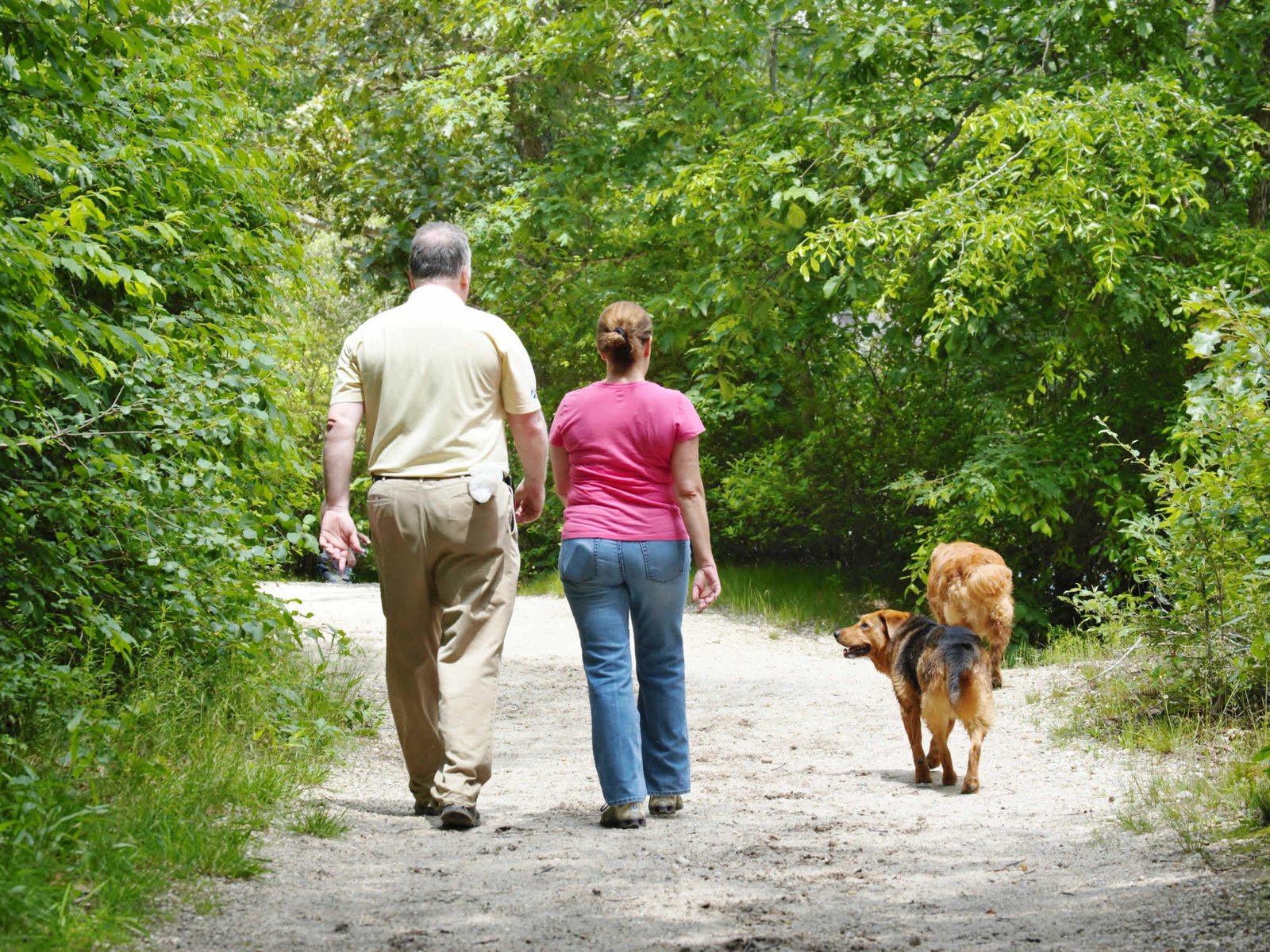 trail3-c1911350a7a2cb5022e49a14c12ddcee