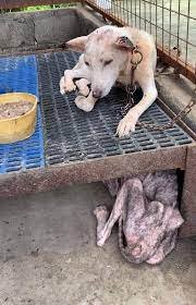 ty108