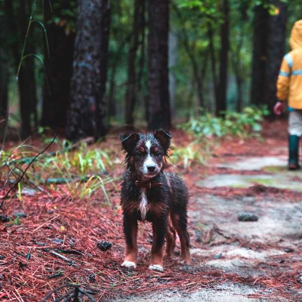 white-oak-lake-white-oak-lake-campground