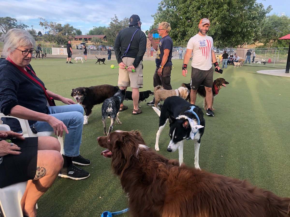 willow-creek-dog-park