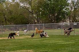 Phideaux Dog Park