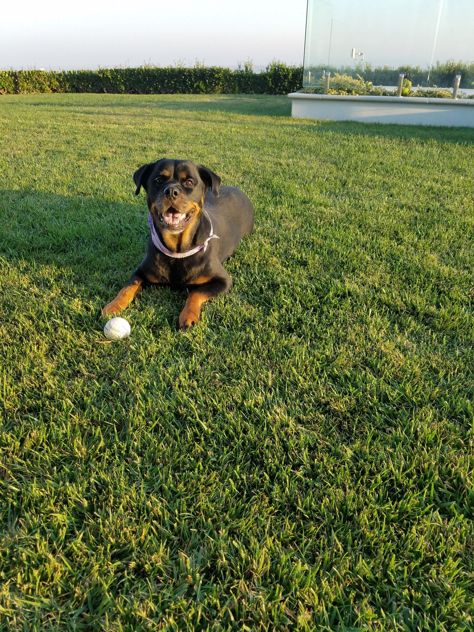 20160828_184802.jpg