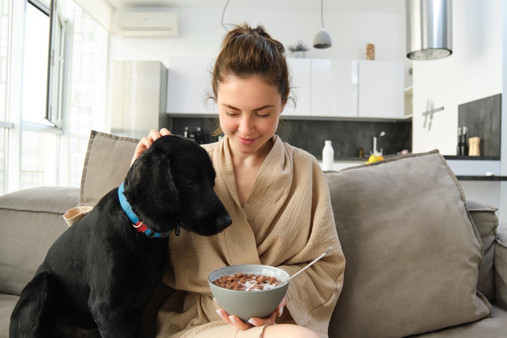 Feed Your Dog Nutritious Meals Without Overspending