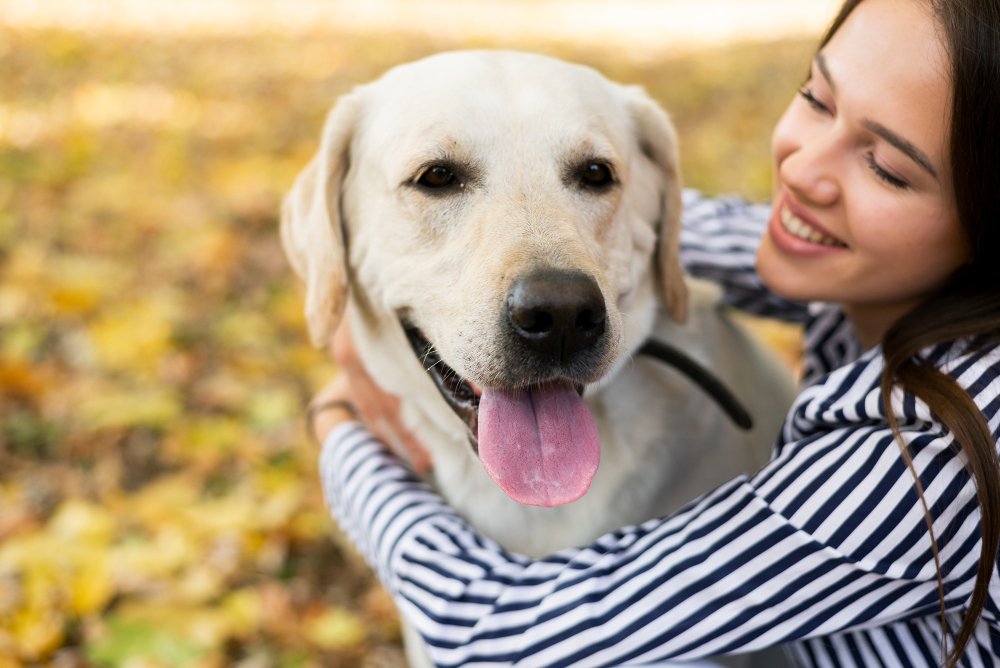 Bathing Your Golden Retriever