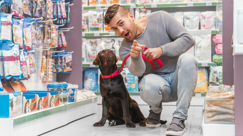 Shop Smart for Dog Supplies Online and Locally