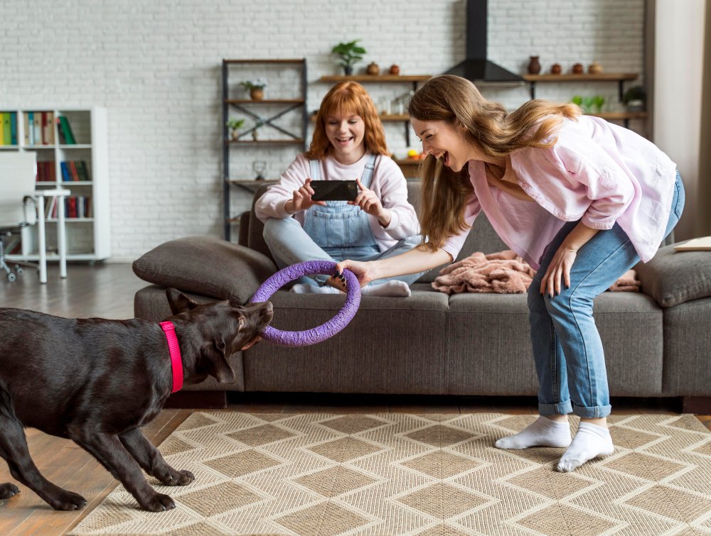 Train Your Dog at Home to Save