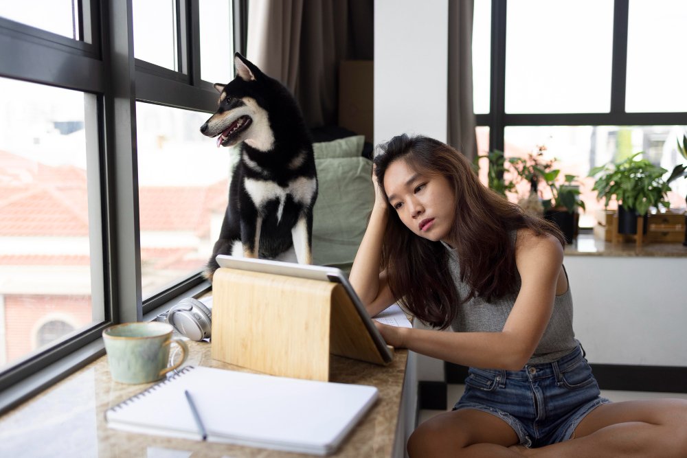 7 More Pet Insurance Mistakes Stealing Your Peace of Mind
