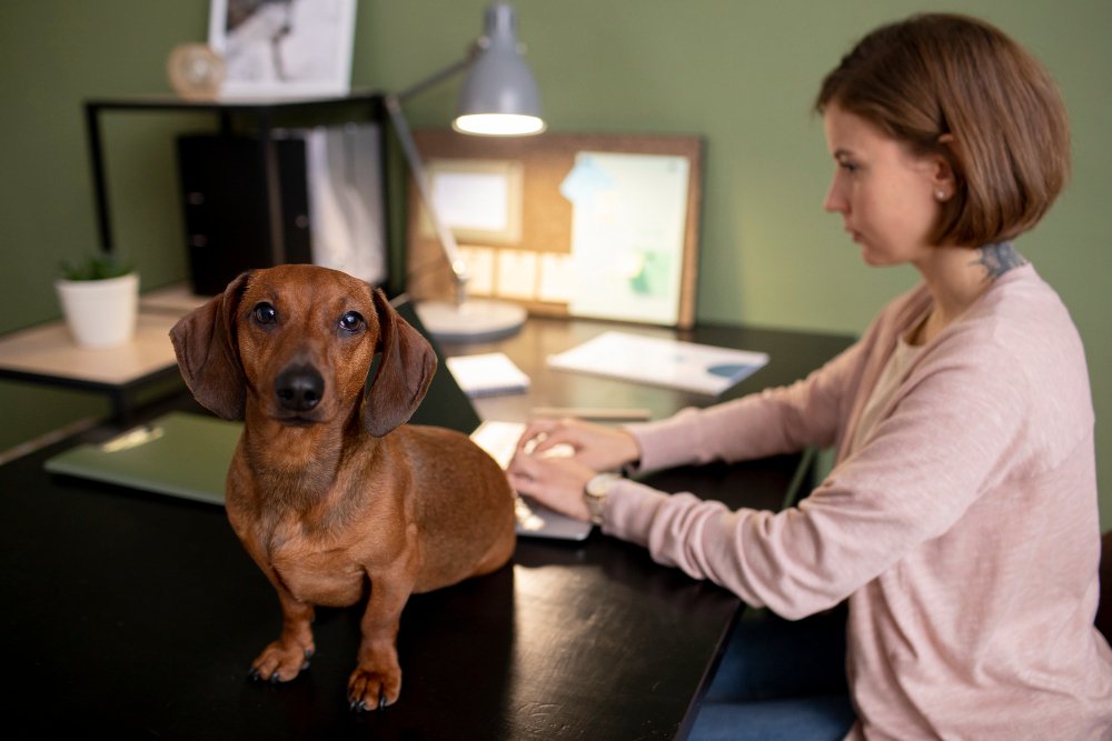 Is Dog DNA Testing Right for You and Your Pet
