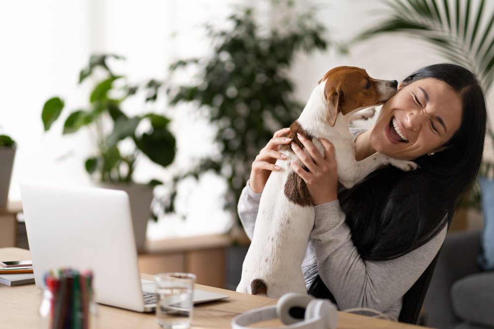 How We Selected the Top Providers pet insurance