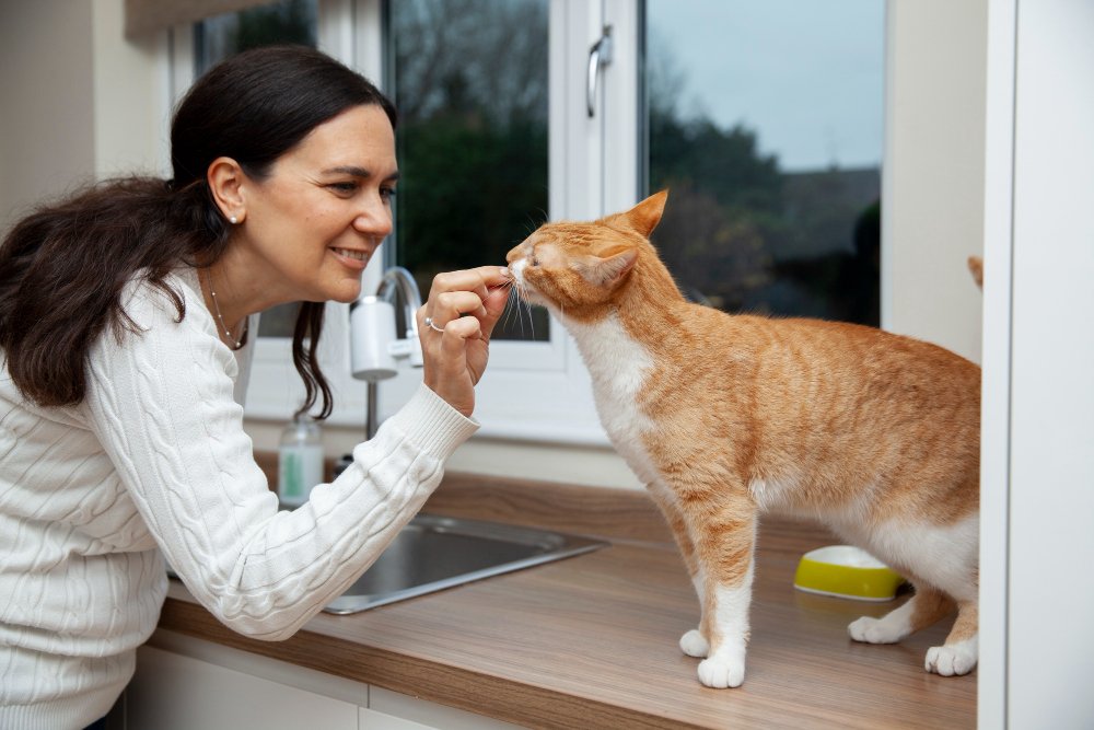 Why Protein Matters for Your Cat