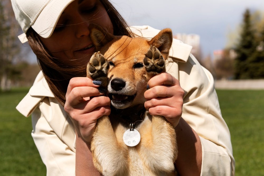 Pet Memorial Jewelry