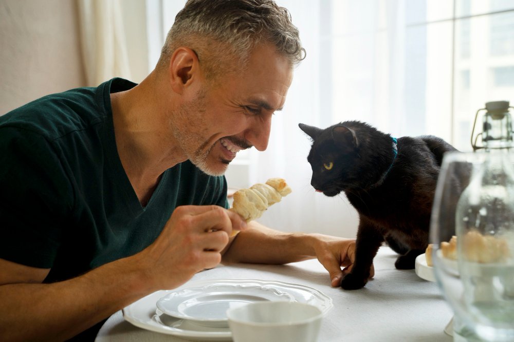 Older cats naturally develop reduced taste, dental troubles, and slower digestion