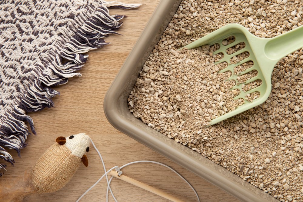 Compostable Cat Litter