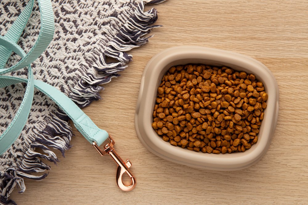 eco-friendly pet bowls