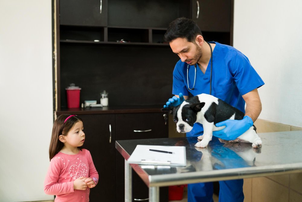 Before You Book: Talk to Your Veterinarian First