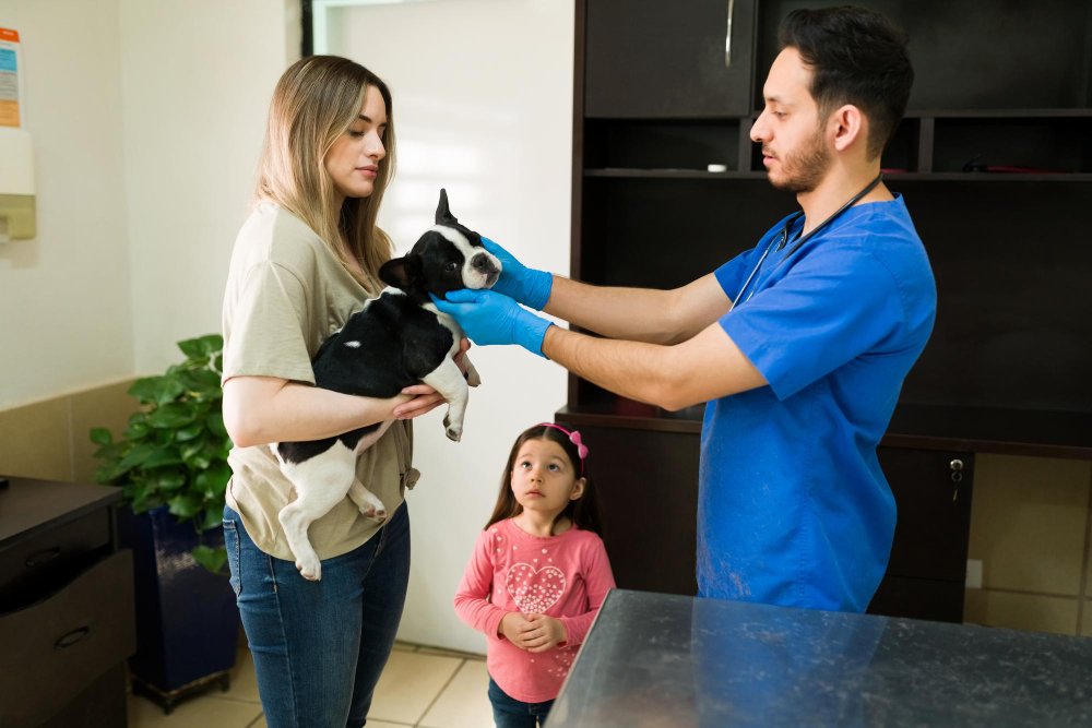 How to Find Affordable Pet Care