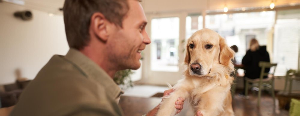 Socialization - The 3–14 Week Window