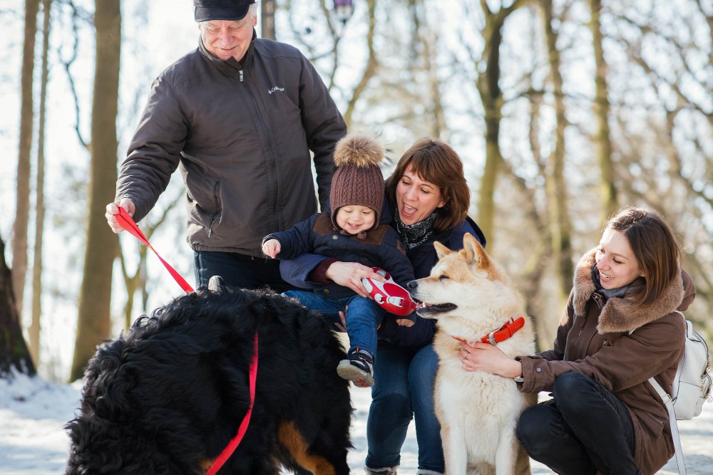 Seasonal Tips for Protecting Your Dog's Health Year-Round