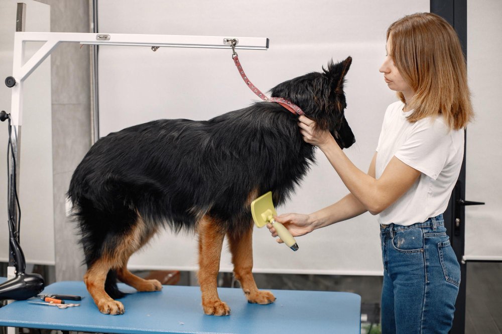 Changes in grooming or coat quality