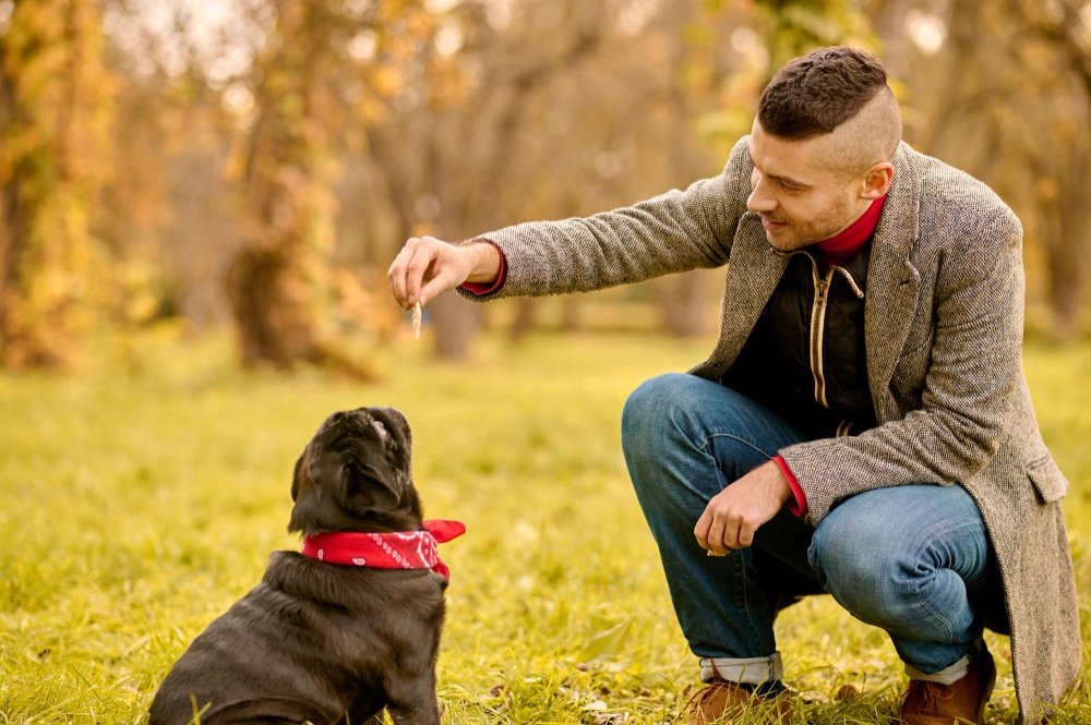 Behavior or personality shifts