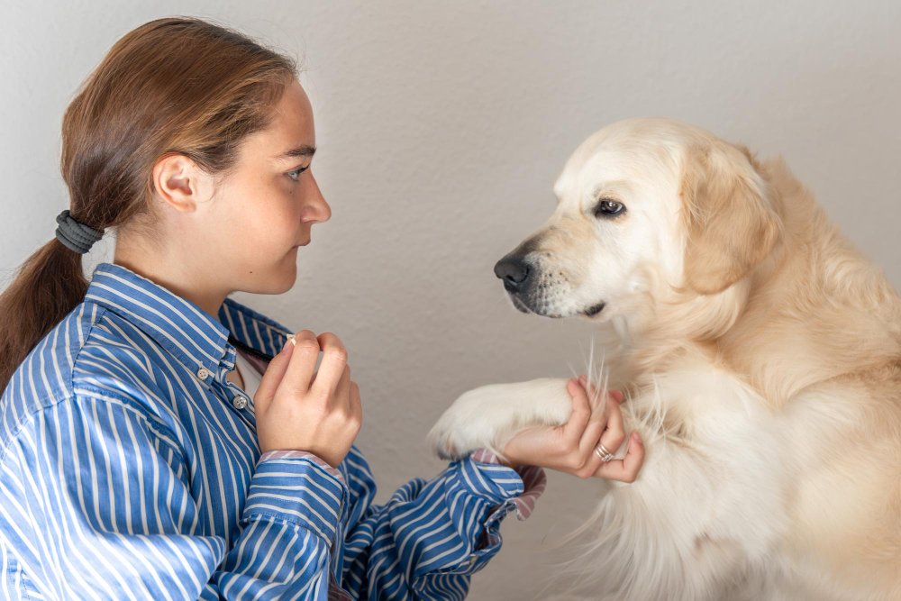 Common Behavioral Problems (and How to Fix Them)