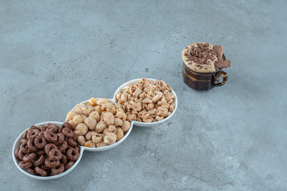 Wet Food vs. Dry Food: What the Science Actually Says