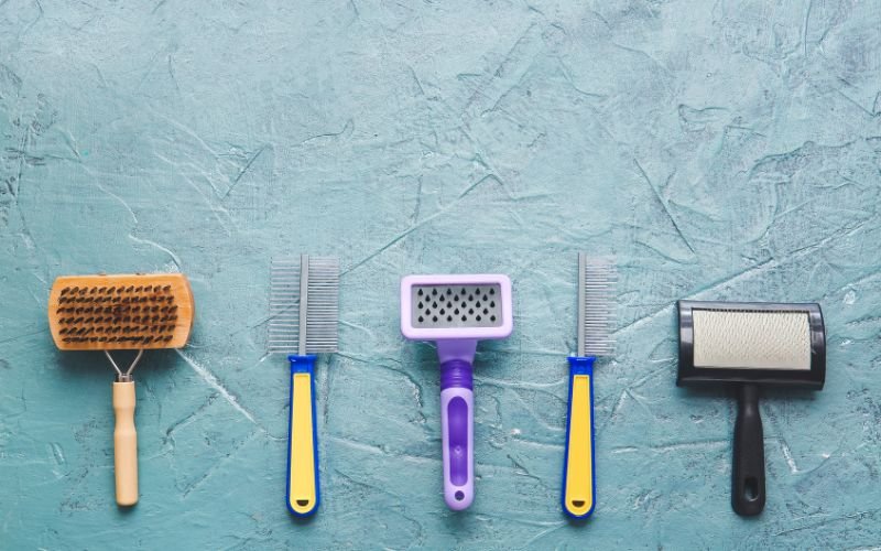 Entry Level Pet Grooming jobs - Indeed