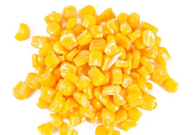 corn in cat food