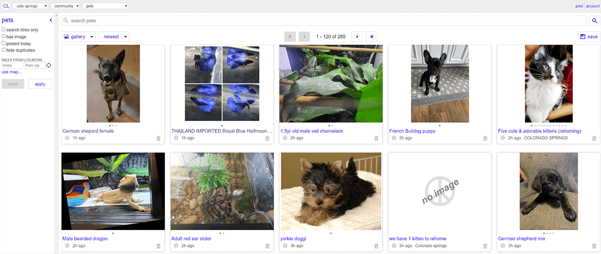 Craigslist pets Colorado Springs, the Pros, Cons, and What to Expect