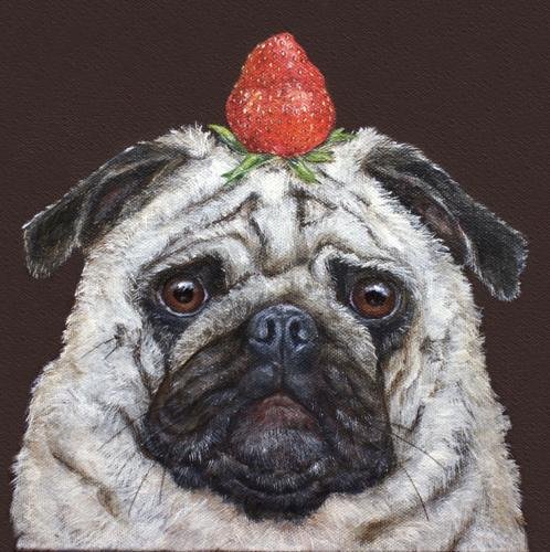 Can Pugs Eat Strawberries?