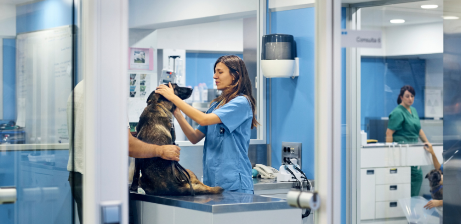 Worth Street Veterinary Center 