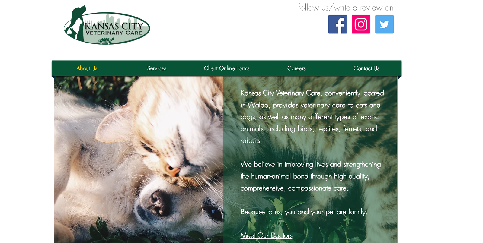 City Veterinary Care 